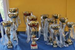 Puchar Konfederacji 2012